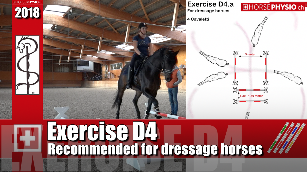 Exercise D4 Special for Dressage Horses