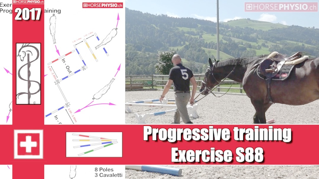 Progressiv Training Exercise S88