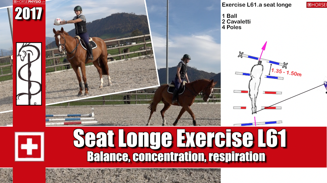 Exercise seat longe