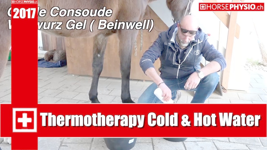 Thermotherapy Tendons and Ligament