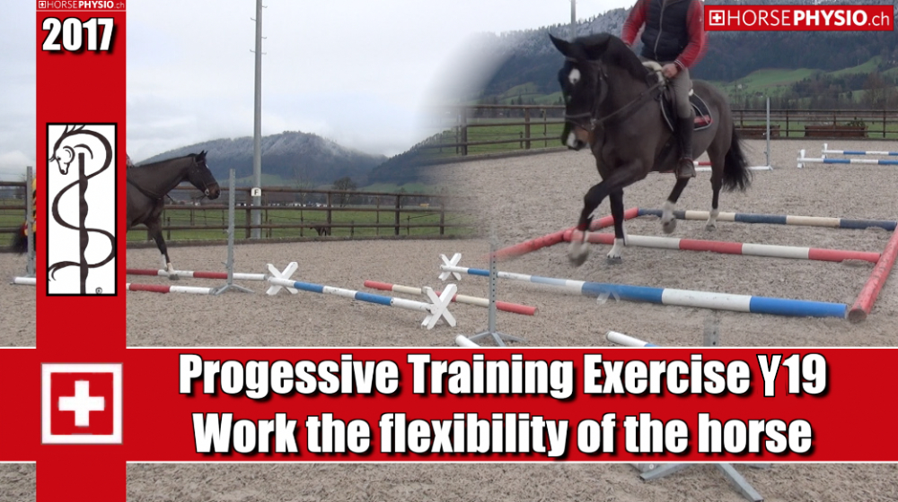 Progressive training Exercise Y19