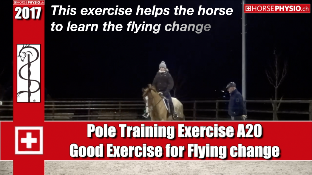 Exercise A20 Flying change