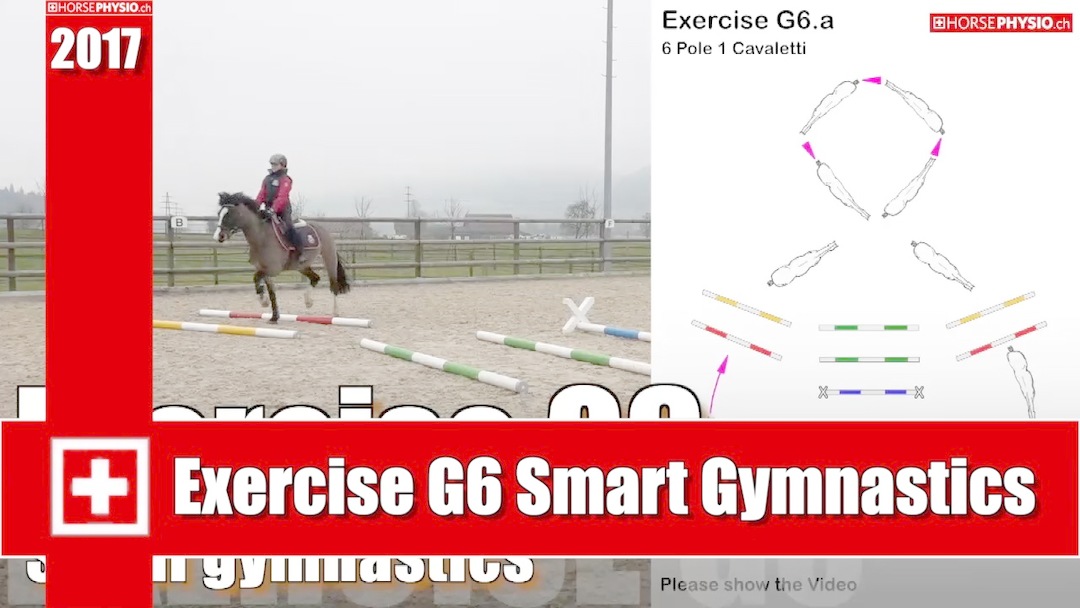 Exercise G6 Smart Training