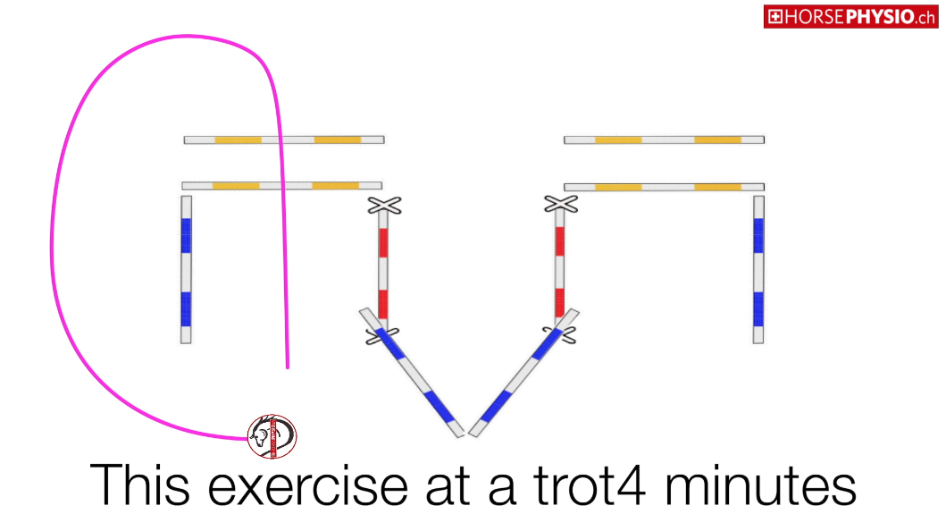 Exercise for transitions