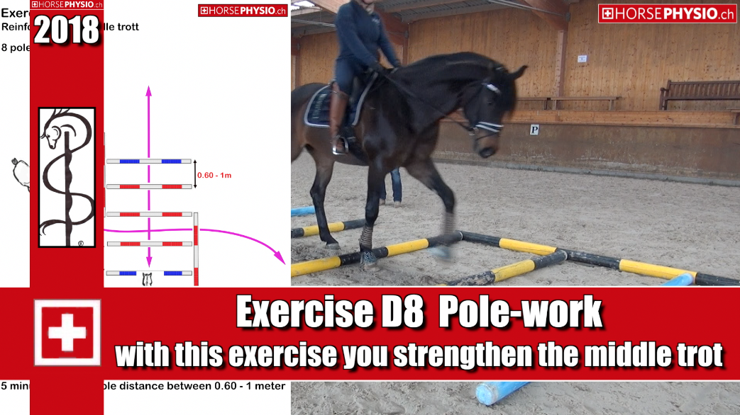 Exercise D8 reinforces the middle trot
