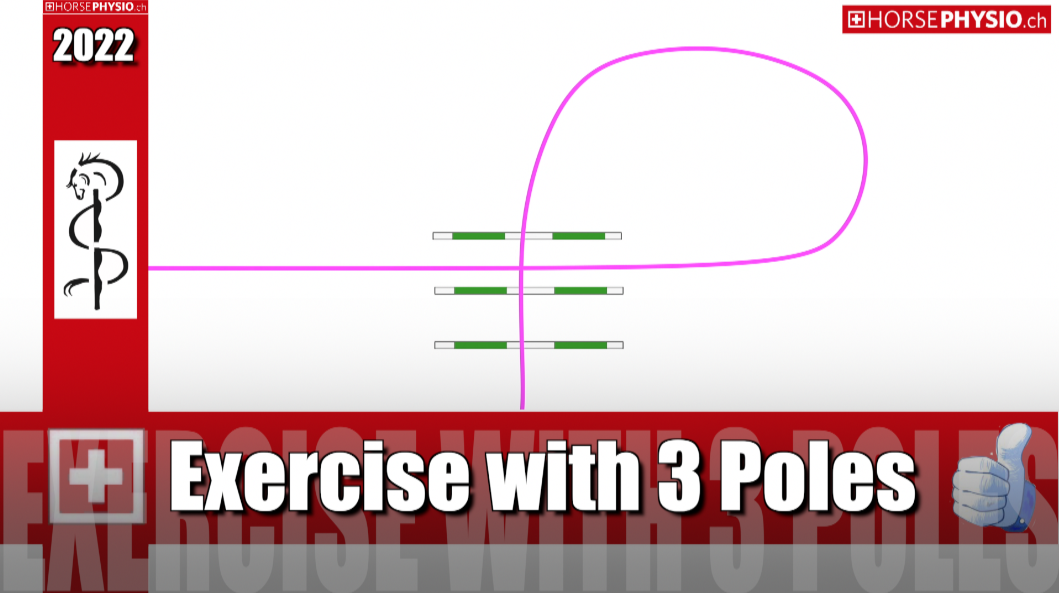 Exercise with 3 Poles 