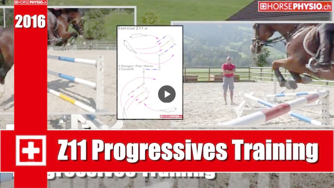 Exercise Z11