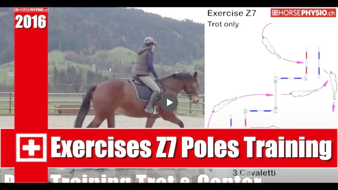 Exercise Z7