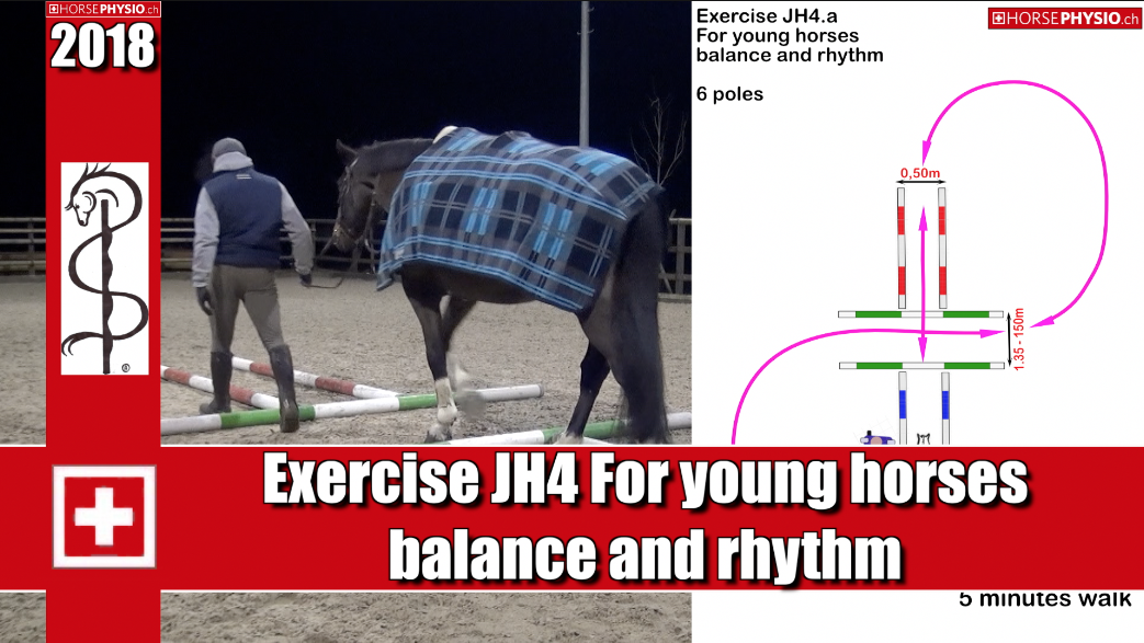 Exercise JH4 for Young Horses 