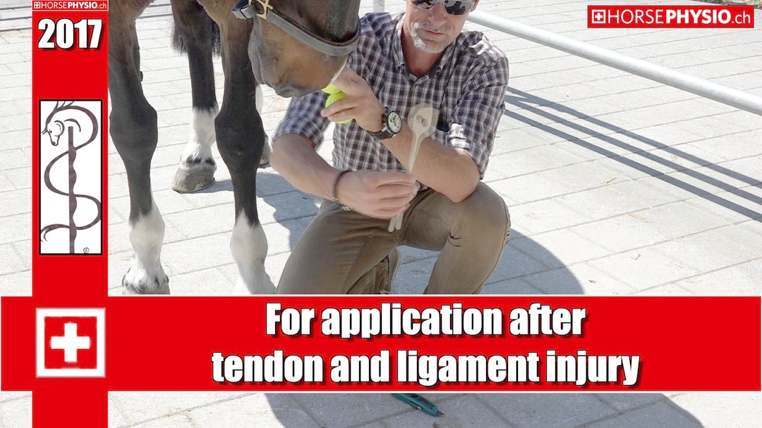 Accidents with tendons and ligaments: how can i prevent and massage it to supoort the convalescence