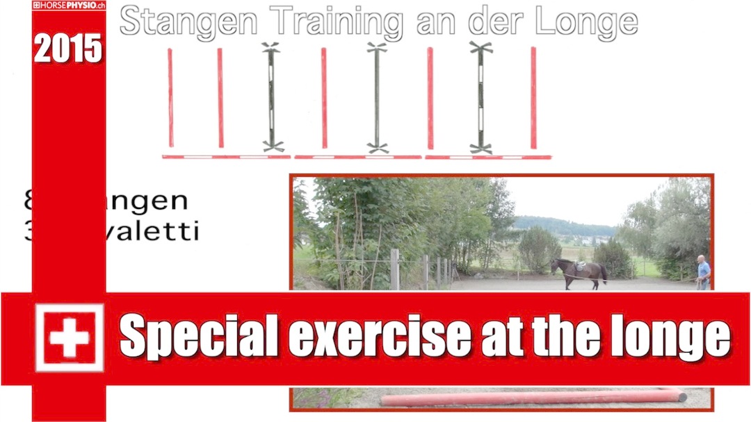 Exercise Longe 8 Poles 3 Cavaletti