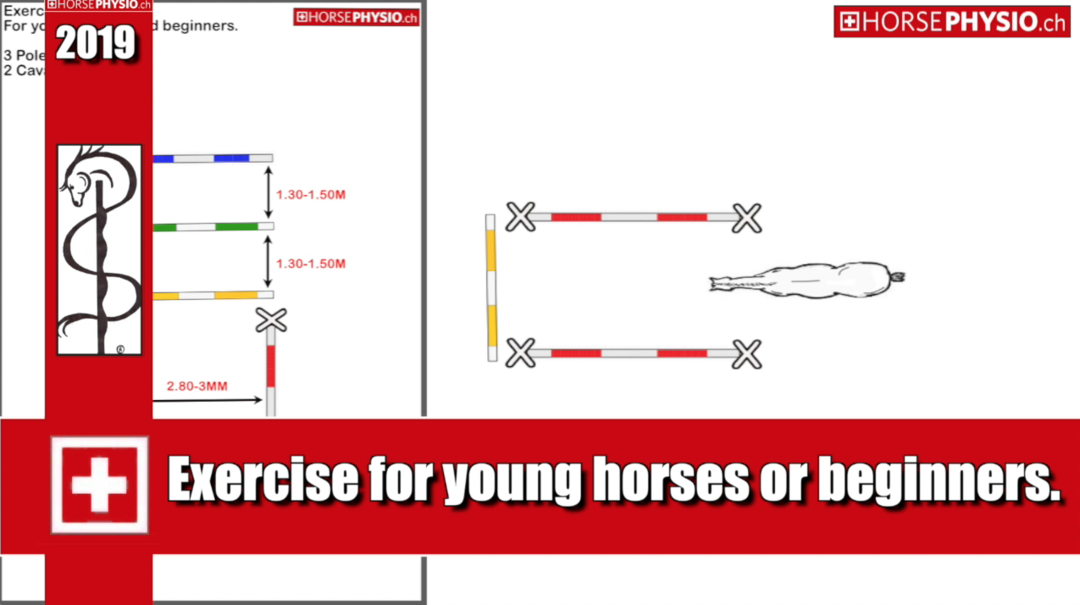 Exercise with 2 Cavaletti 3 poles for young horses or beginners.