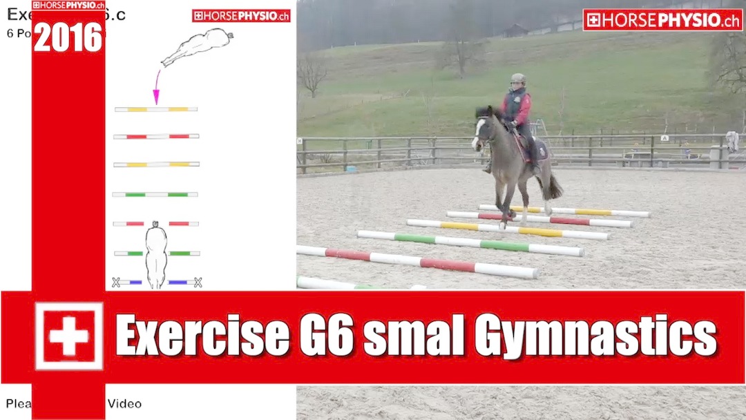 Exercise G6 1 Cavaletti 6 Poles