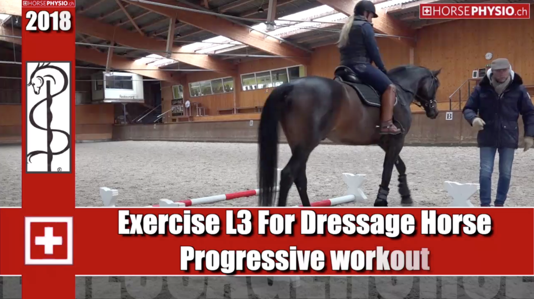 Exercise L3 For Dressage Horse