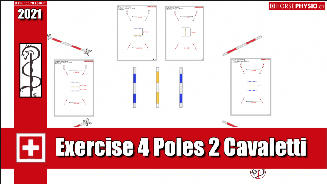 Improve your canter cadence
