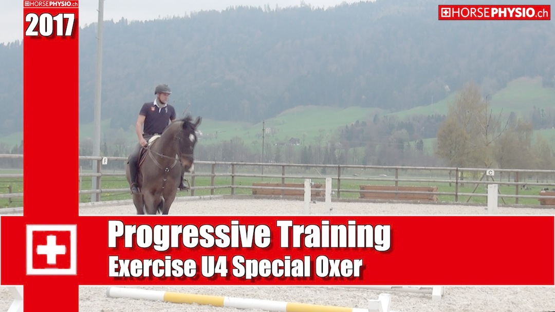 Progressive Training Exercise U4